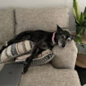 Meet your Posher, Joshua